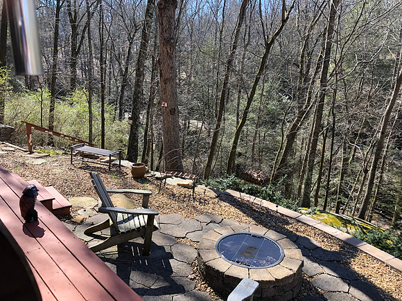 Fire pit and back yard