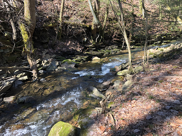 Shoal Creek