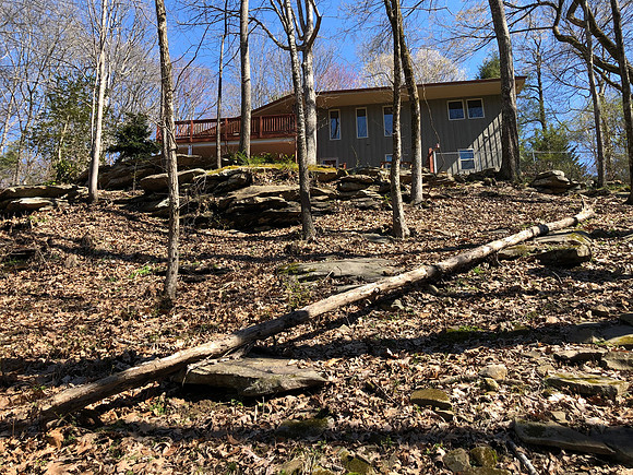 Backyard near the creek