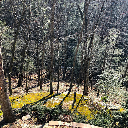 Backyard - from Upper Deck