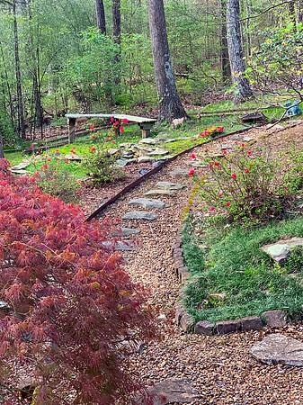 Side Yard - Japanese Maple - Bench - Path